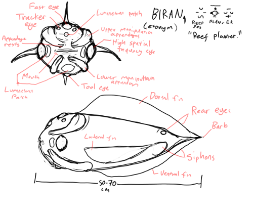 biran.png